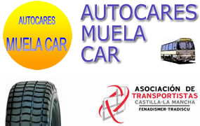 Tradiscu Logo